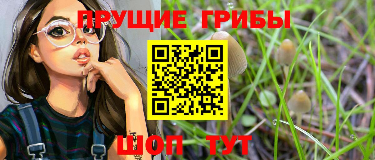 Галлюциногенные грибы MAGIC MUSHROOMS Раменское
