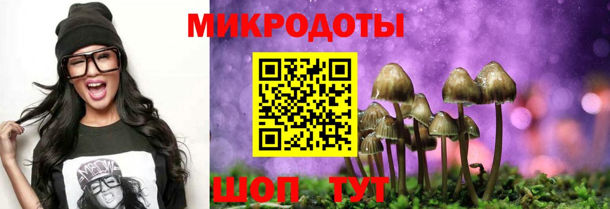 Раменское  Галлюциногенные грибы мухоморы  Галлюциногенные грибы ЛСД  Вход с VPN 