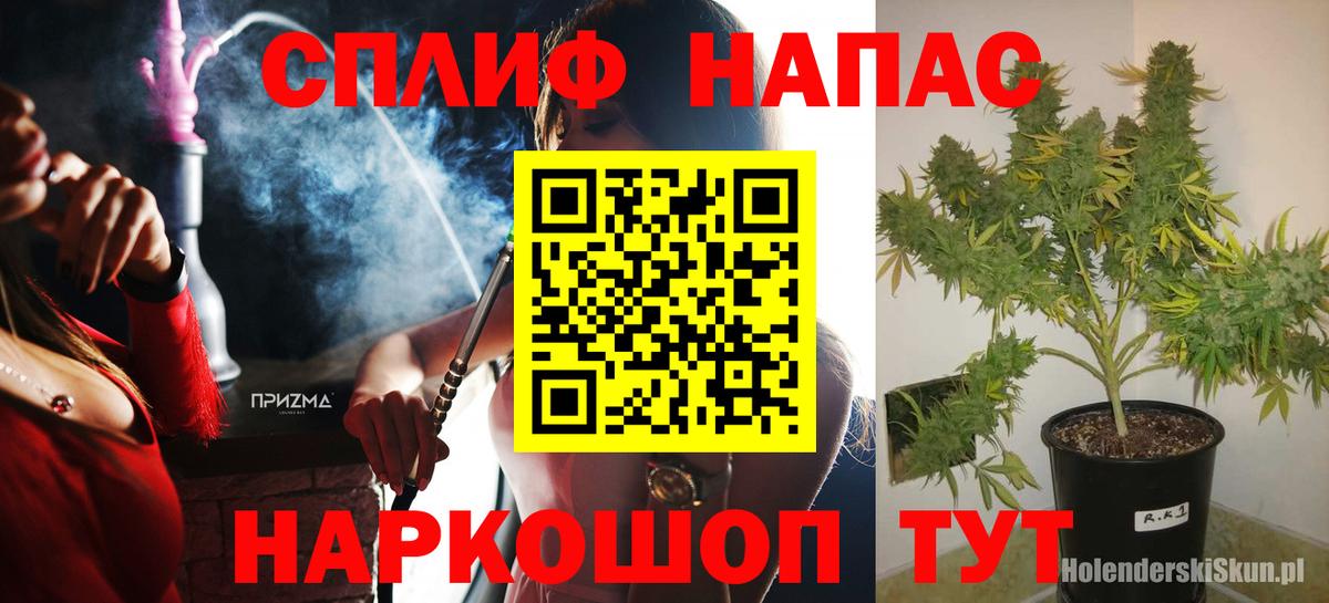 Бошки Шишки ГИДРОПОН  Вход с VPN  Раменское  МАРИХУАНА ГИДРОПОН 